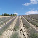 Mandriato Organic Farm In The Tuscan Hills Agroturismo Santa Luce