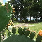 Mandriato Organic Farm In The Tuscan Hills