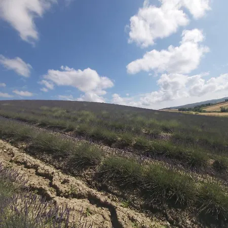 Mandriato Organic Farm In The Tuscan Hills