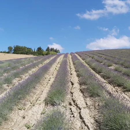 Mandriato Organic Farm In The Tuscan Hills Alojamento de Turismo Rural Santa Luce