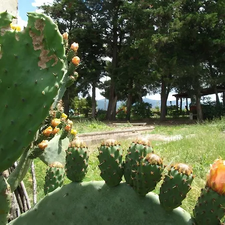 Mandriato Organic Farm In The Tuscan Hills