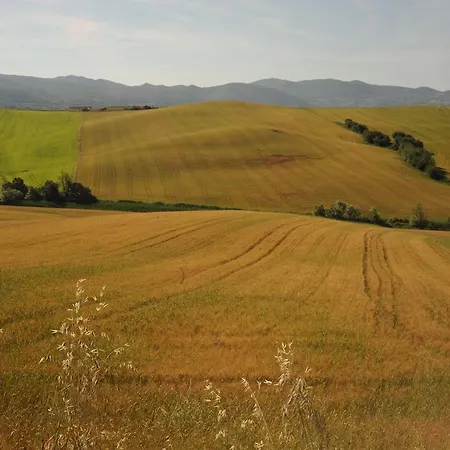 Alojamento de Turismo Rural Mandriato Organic Farm In The Tuscan Hills