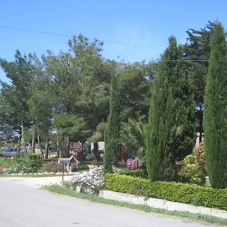 Mandriato Organic Farm In The Tuscan Hills Santa Luce