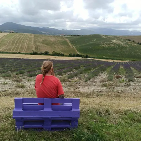 Agroturismo Mandriato Santa Luce